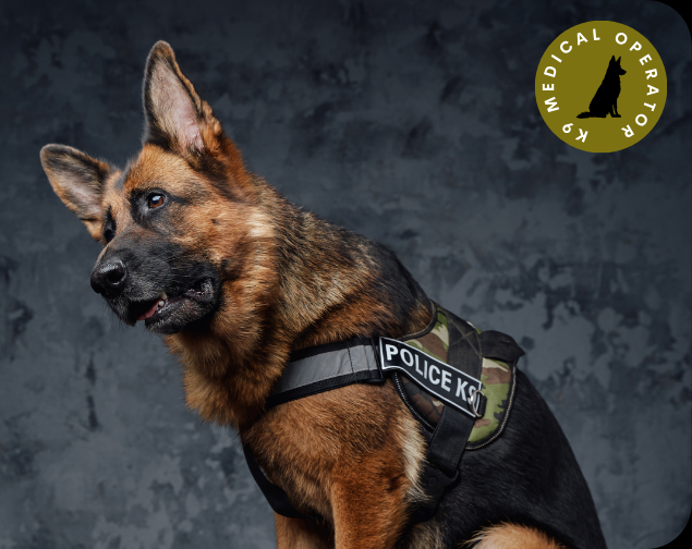 Use a real K9 medical, working dog, handler, or canine emergency care image. Do not use the current Stop the Bleed image.